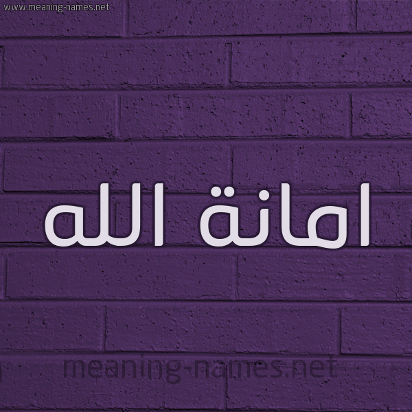 شكل 12 الإسم على الحائط الجداري صورة اسم امانةُ الله AMANHO-ALLH